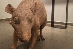 vystava-Artinbox-Praha-17