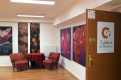 vystava-v-Galerie-na-Tehelnej-Zvolen-2