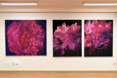vystava-v-Galerie-na-Tehelnej-Zvolen-21
