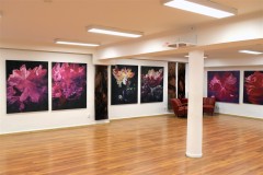 vystava-v-Galerie-na-Tehelnej-Zvolen-22