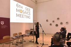 mosaic-meeting-Budapest-2024-41