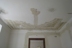 telc19