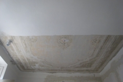 telc22