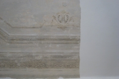 telc23