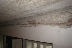 telc26