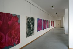 výstava obrazů v galerii Ambrož 1