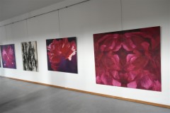 výstava obrazů v galerii Ambrož 14