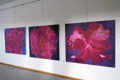 výstava obrazů v galerii Ambrož 16