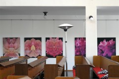 výstava obrazů v galerii Ambrož 17