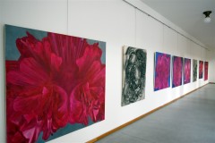 výstava obrazů v galerii Ambrož 2