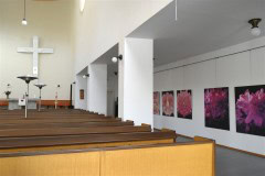 výstava obrazů v galerii Ambrož 25