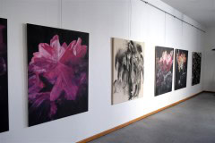 výstava obrazů v galerii Ambrož 28