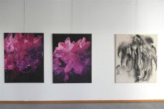 výstava obrazů v galerii Ambrož 29