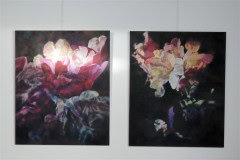 vystava-rubinove-bezcasi-HK-31