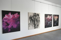 výstava obrazů v galerii Ambrož 5