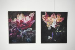 výstava obrazů v galerii Ambrož 7