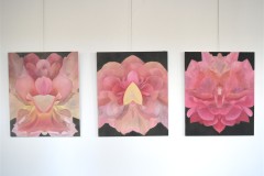 výstava obrazů v galerii Ambrož 9