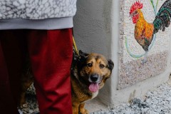 slavnostni-otevreni-kaplicky-kosor-10