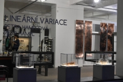 vernisáž-Lineární-variace-10
