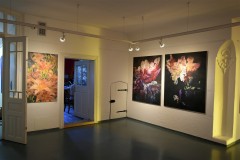HampLOVE-vystava-28