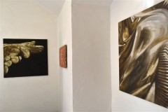 petr_hampl_komnata_10