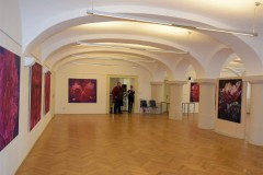 vystava-Rubinove-kvety-Hradec-Kralove-18