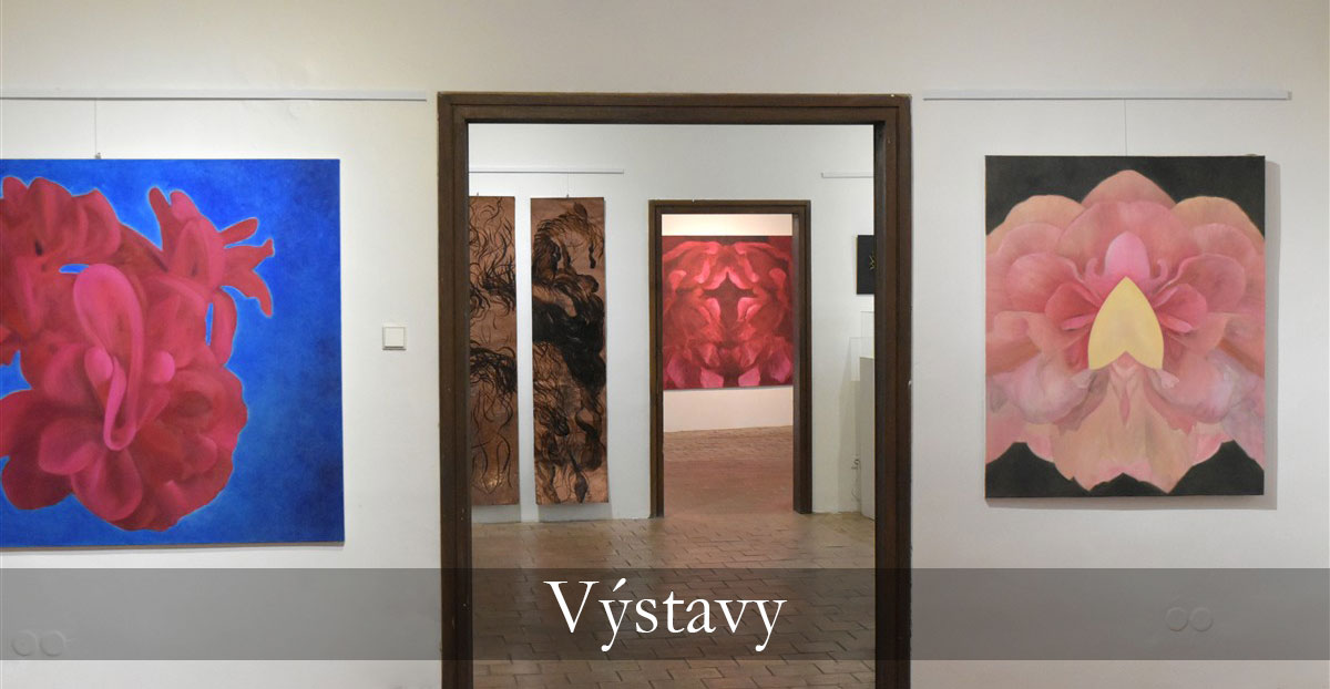 Petr Hampl výstavy